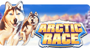 Arctic Race